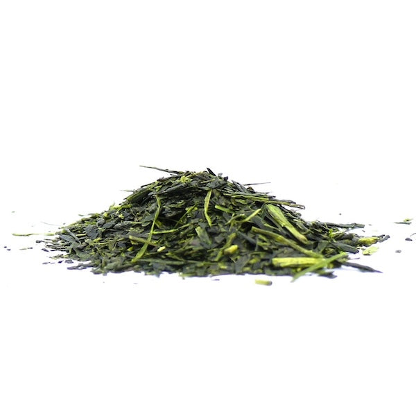 Matsu Kaze - Kakegawa Fukamushi Sencha - Hasami Ichiccha 100g