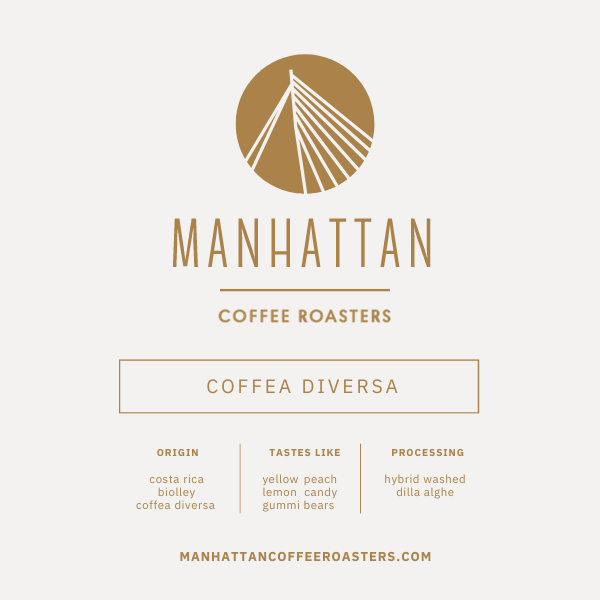Photo of Manhattan - Coffea Diversa: Dilla Alghe Washed, Costa Rica (250g) ( Default Title ) [ Manhattan Coffee Roasters ] [ Coffee ]