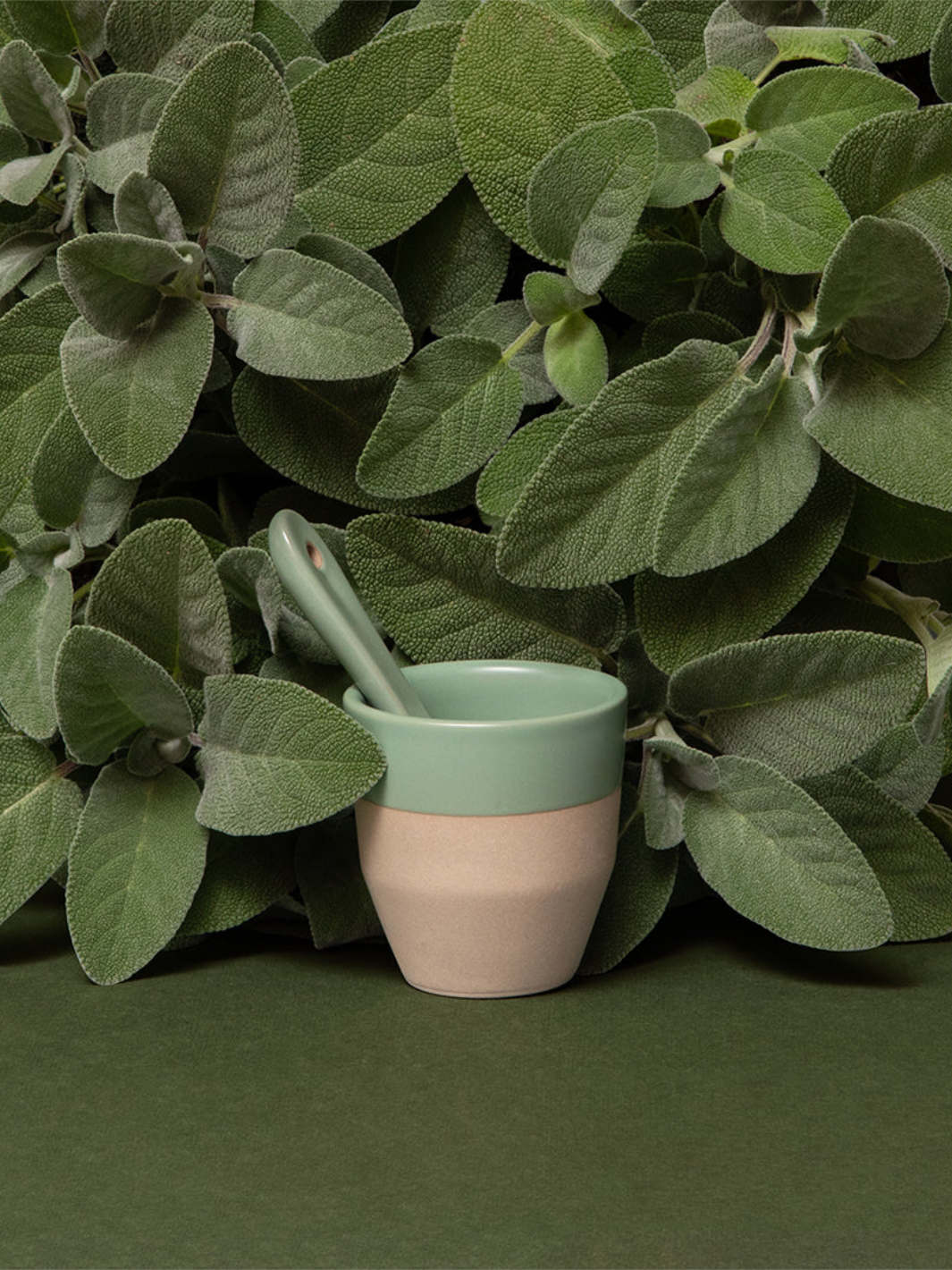 notNeutral PICO Espresso Cup (3oz/89ml) / Coffee Cups | Eight