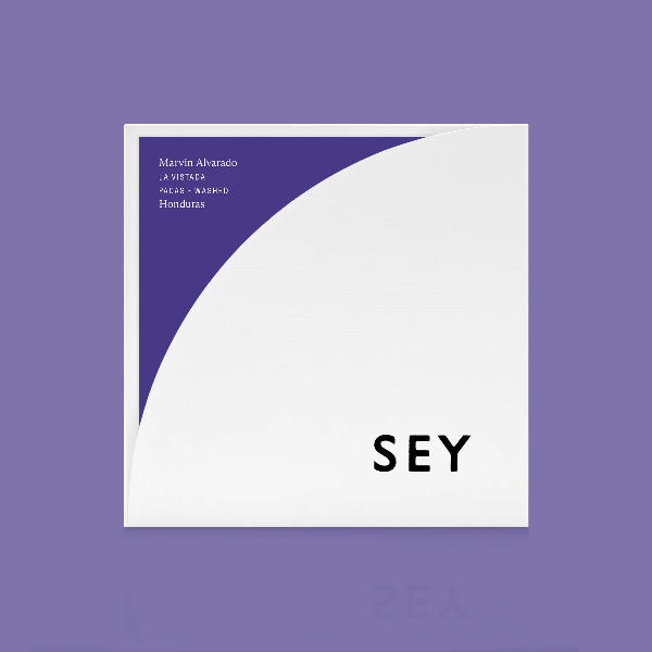 Sey - Marvin Alvarado