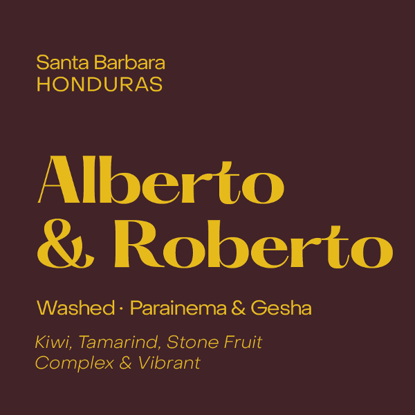 Subtext - Alberto & Roberto