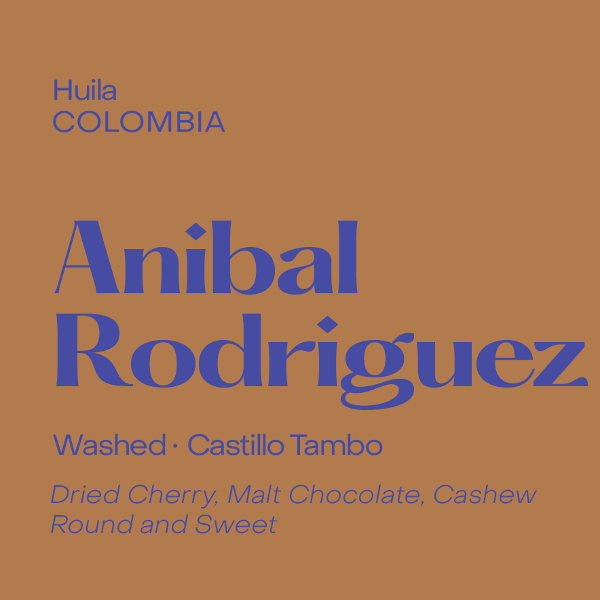 Photo of Subtext - Anibal Rodriguez ( Default Title ) [ Subtext Coffee Roasters ] [ Coffee ]