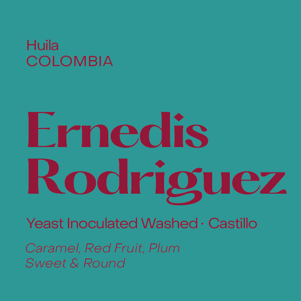 Subtext - Ernedis Rodriguez: Yeast Inoculated Castillo