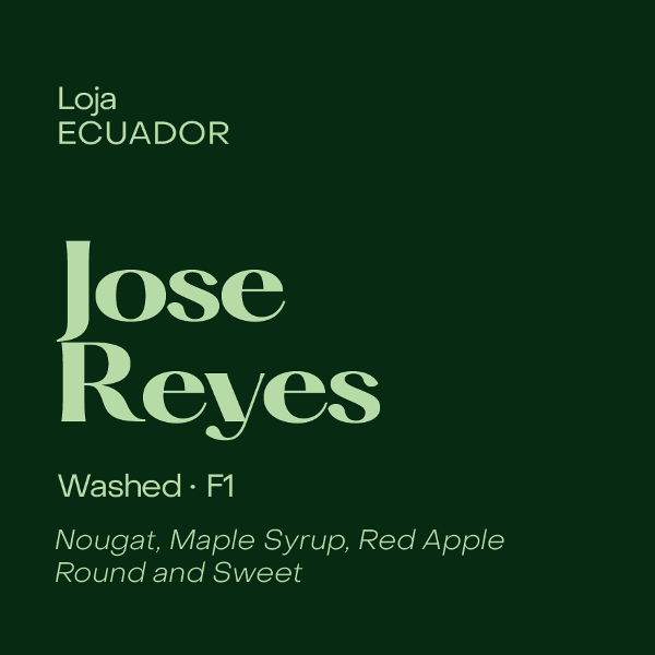 Photo of Subtext - Jose Reyes ( Default Title ) [ Subtext Coffee Roasters ] [ Coffee ]