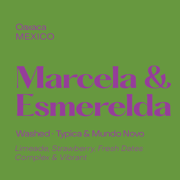 Subtext - Marcela & Esmeralda