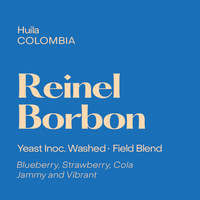 Photo of Subtext - Reinel Borbon ( Default Title ) [ Subtext Coffee Roasters ] [ Coffee ]