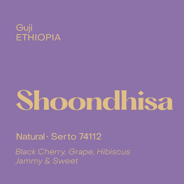 Subtext  - Shoondhisa Espresso