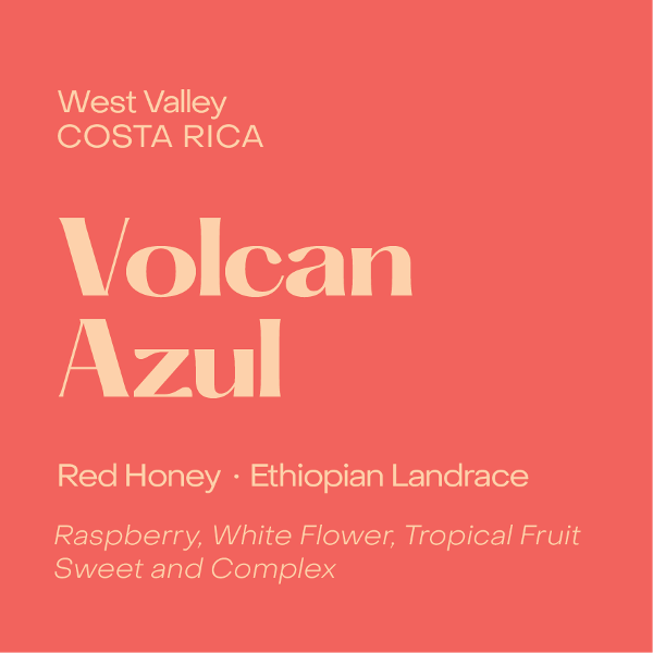 Subtext - Volcan Azul: Red Honey Landrace