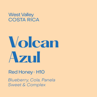 Photo of Subtext - Volcan Azul: Red Honey H10 ( Default Title ) [ Subtext Coffee Roasters ] [ Coffee ]