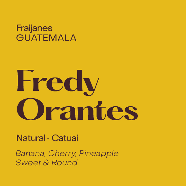 Subtext - Fredy Orantes: Natural Catuai