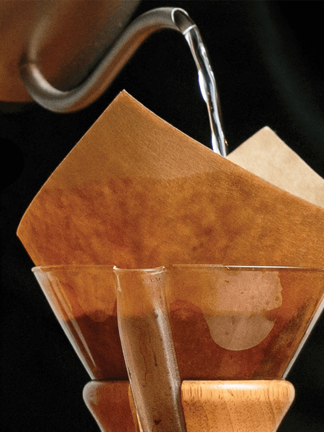 Chemex paper filter 2025