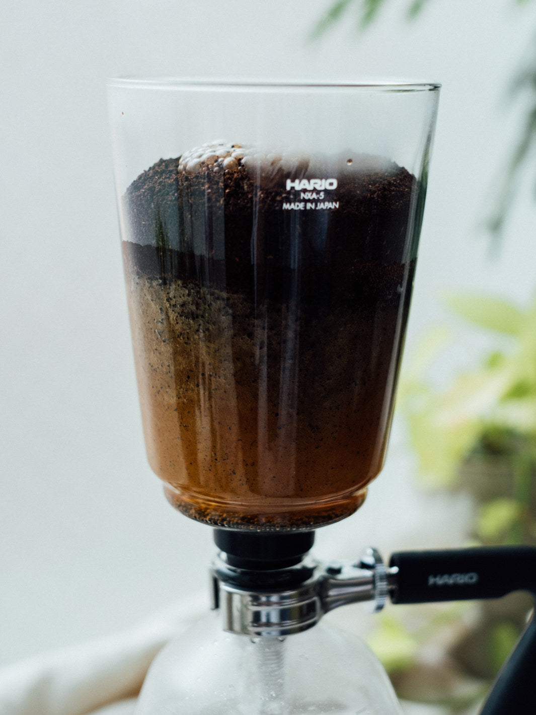 HARIO NEXT Syphon / Syphon Brewers | Eight Ounce Coffee