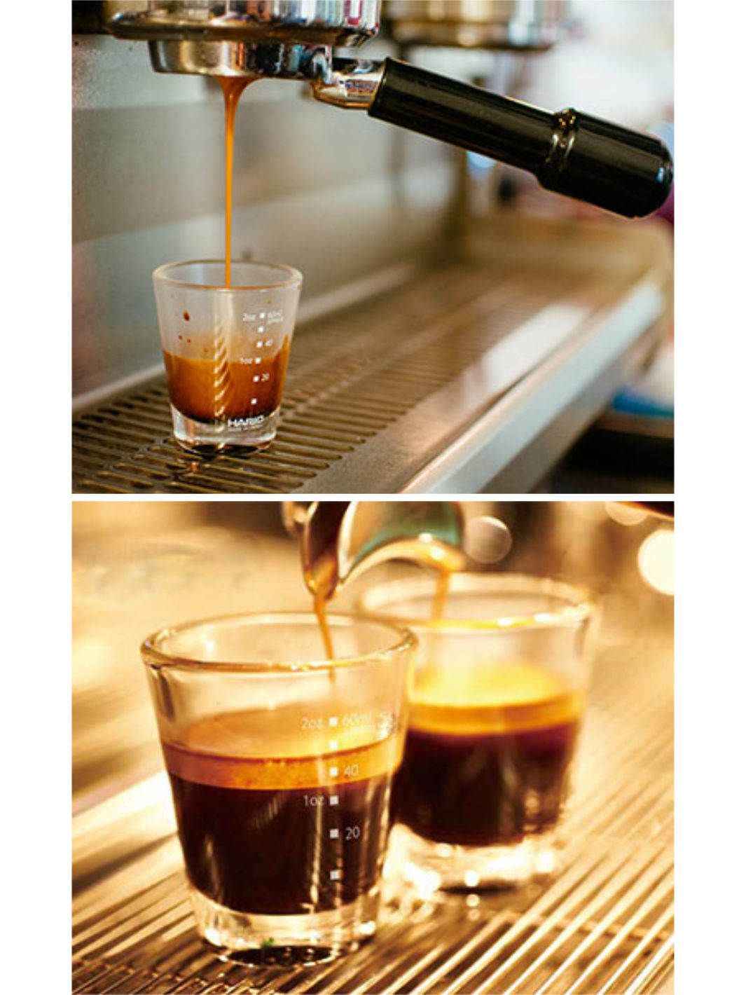 HARIO Shot Glass (80ml/3oz) / Shot Glasses | Eight Ounce Coffee