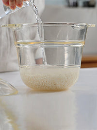 HARIO Gohangama Glass Lid Rice Cooker – Someware