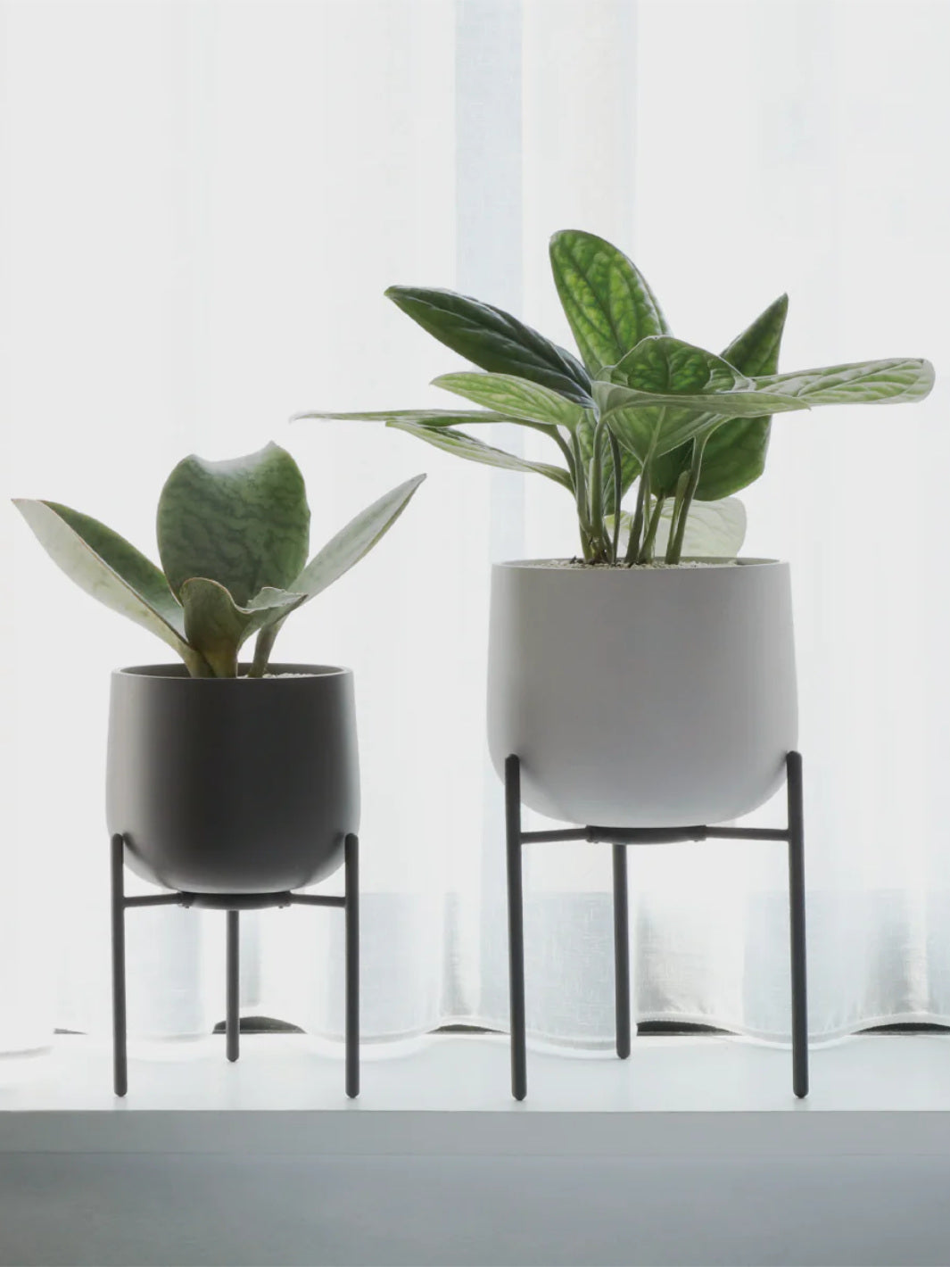 KINTO PLANT POT 211 (135mm/5.4in) / Plant Pots | Eight Ounce