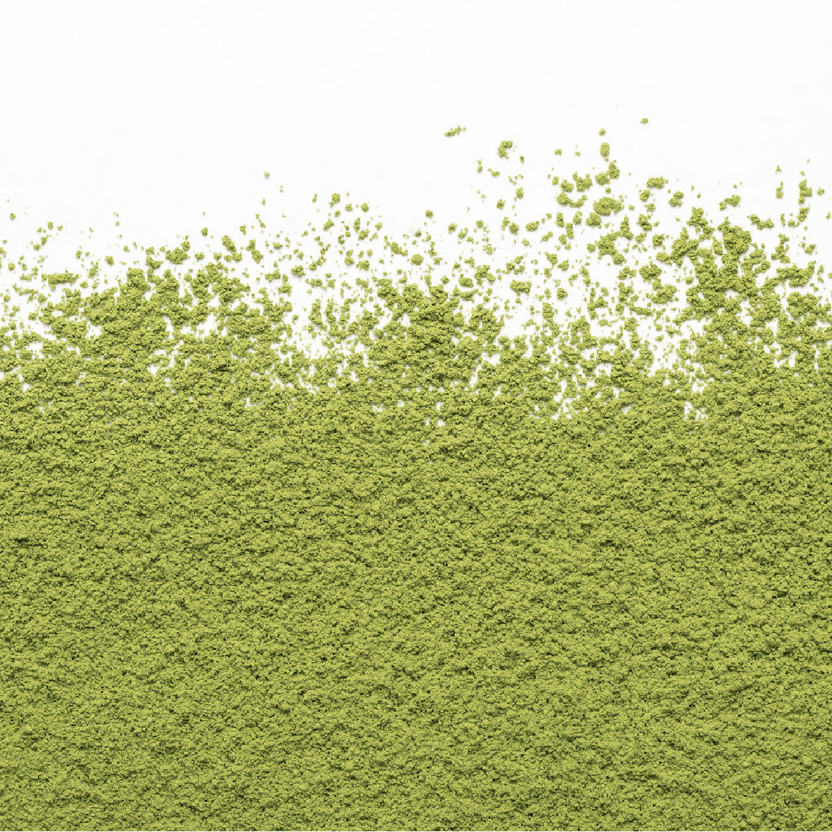 Camellia Sinensis - Matcha Sora (40g tin)