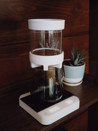 Photo of NEXTLEVEL LVL-10 Brewer ( ) [ nextlevel ] [ Pourover Brewers ]