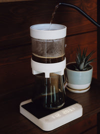 Photo of NEXTLEVEL LVL-10 Brewer ( ) [ nextlevel ] [ Pourover Brewers ]